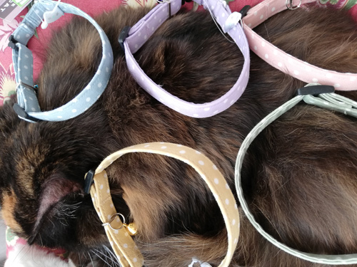 三毛猫ロカとカラフル首輪