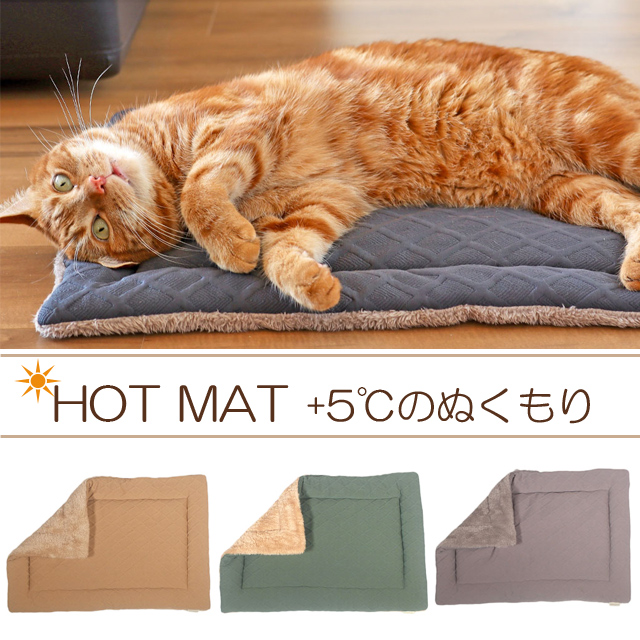 猫のあったかホットマット2024