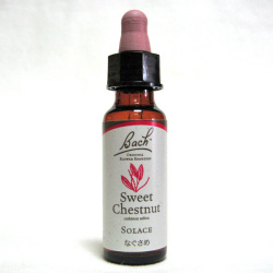 スウィートチェストナット　猫のバッチフラワーレメディ