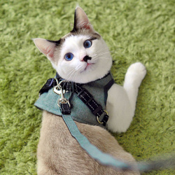 猫のベスト型ハーネス　アッシュグリーン