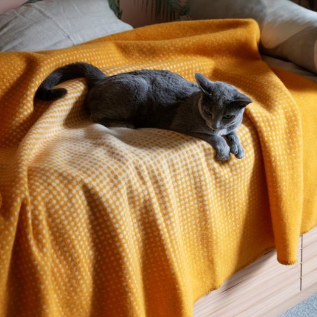 ウールブランケット  Lapuan Kankurit JUHANNUS　と猫