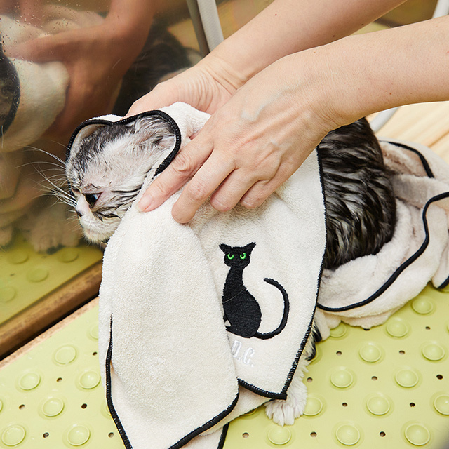 シャンプー後のタオルドライに｜猫用品店nekomono（ねこもの）