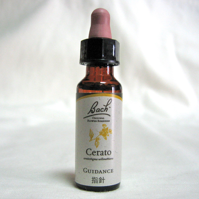 フラワーレメディー Bach Flower Remedies バッチフラワーレメディー