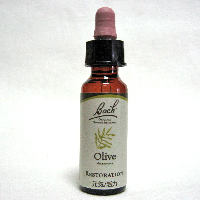 オリーブ バッチ フラワーレメディ｜OLIVE Bach Flower Remedies