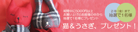 猫とうさぎプレゼント
