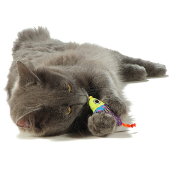猫のネズミおもちゃ
