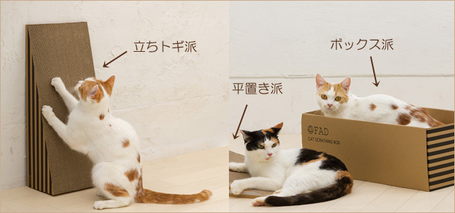 立ちトギ、置きトギできるつめとぎ