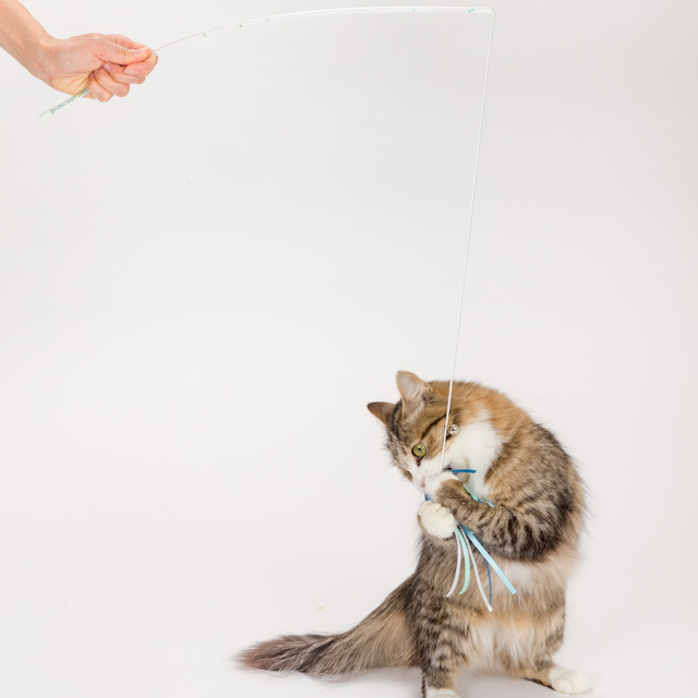 またたび入り フェルト猫じゃらし｜ネコ用品専門店nekomono（ねこもの）