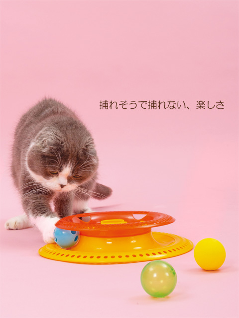 ボールで遊ぶ猫さん