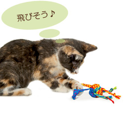 猫のおもちゃ　リボンとロープ