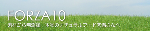 無添加キャットフード　FORZA10