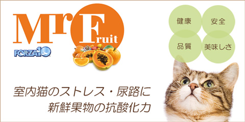 室内猫用プレミアキャットフード