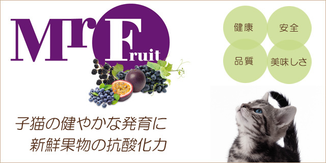 子猫用フード　キトン