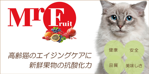 高齢猫用無添加キャットフード