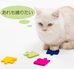 猫とフェルトおもちゃ