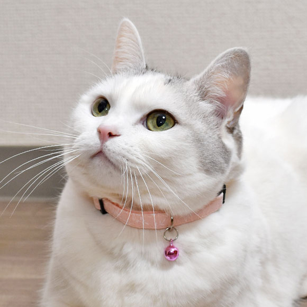 1090.小花柄生地//猫首輪 天使 鈴チャーム付き//水色