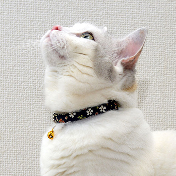 aya＊ 様 猫の首輪 猫ようらく～仏像の首飾りデザインの猫首輪～【薬師寺聖観音