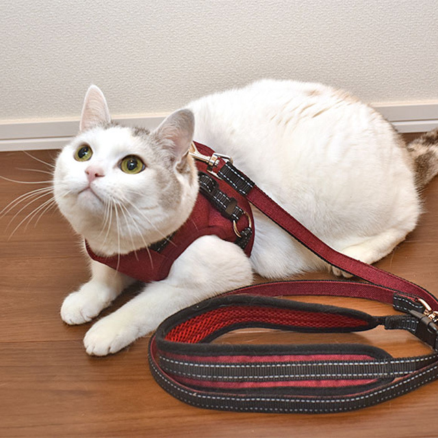猫のベスト型ハーネス　レッド