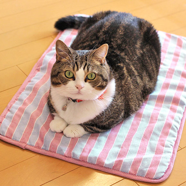 猫とひんやりクールマット　レッド