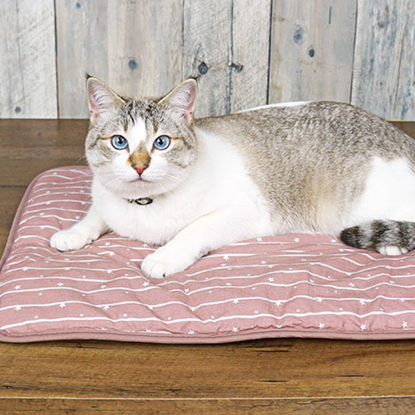 猫用ひんやりマット