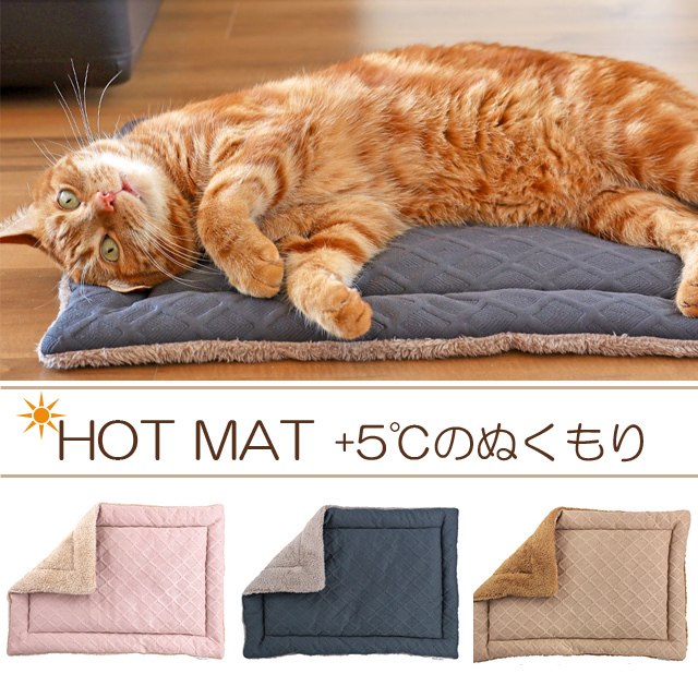 猫のあったかホットマット　可愛い