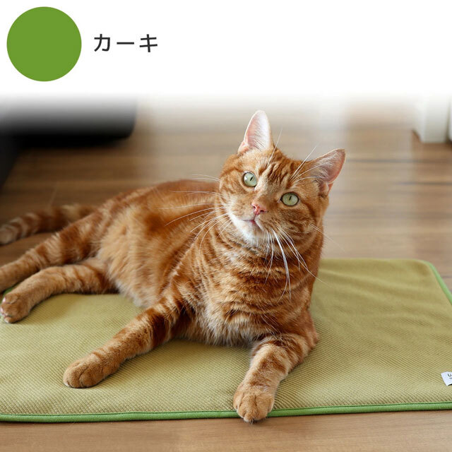 ペット用 防水マット｜猫用品店nekomono（ねこもの）