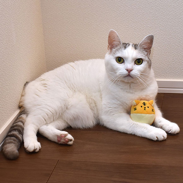 鈴入りボール トラ｜猫用品専門店nekomono（ねこもの）