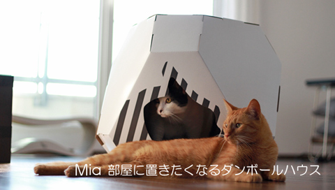 スタイリッシュな猫ハウス