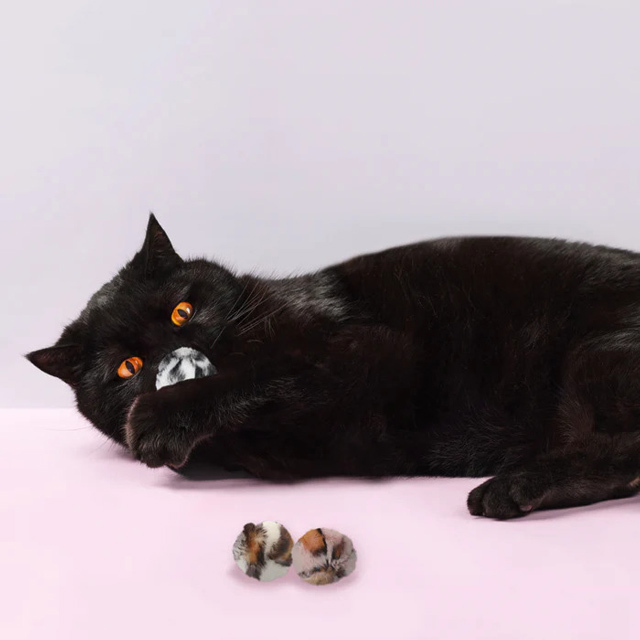 黒猫とふわもふボールおもちゃ