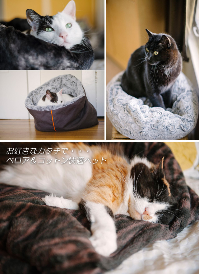猫と寝袋型ベッド