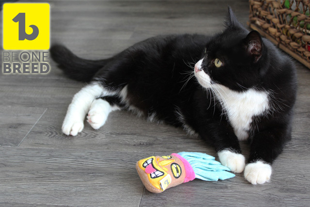 キャットニップ入りおもちゃと猫