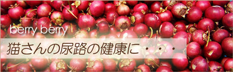 猫の泌尿器ケアサプリ