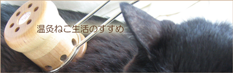 猫に温灸