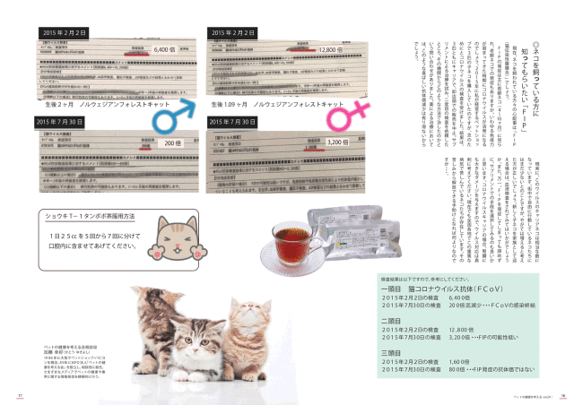 猫FIPたんぽぽ茶検査結果