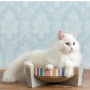 猫の可愛い段ボールツメトギ