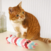 猫のキャットニップ入りキッカー