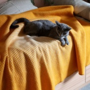 ウールブランケット  Lapuan Kankurit JUHANNUS　と猫