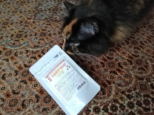 三毛猫とグルコサミン