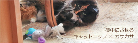 キャットニップ入りの猫おもちゃ