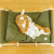 猫とハンモックベッド