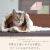 猫用ブランケットマット　