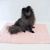 猫用ブランケットマット　ピンク