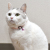 猫の首輪　小花　ピンク