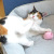 猫のボールおもちゃ