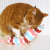 猫のキャットニップ入りキッカー
