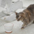 猫とおしゃれな水飲み器