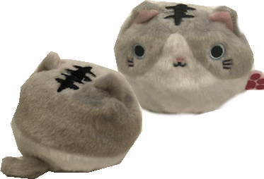 アメショーハイメイン