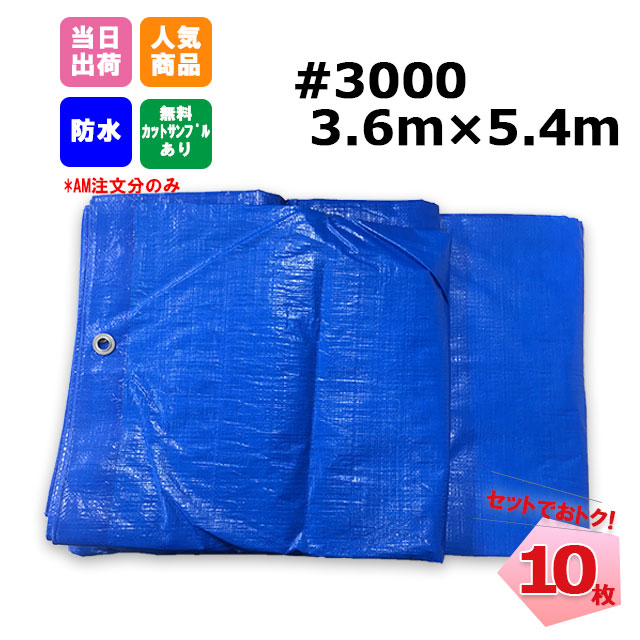 ブルーシート #3000 3.6m×5.4m 10枚 KMネクスト 181210360