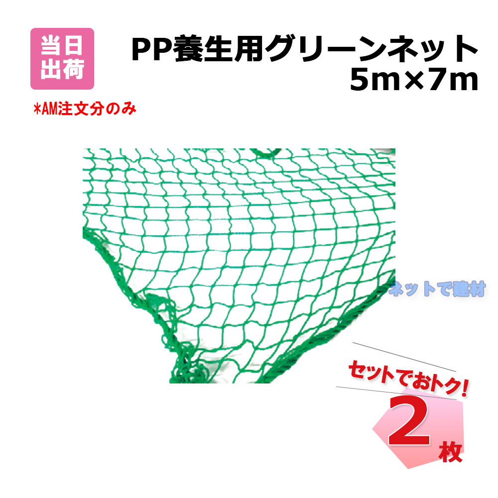PP 養生用 グリーンネット 2枚 セット 5m×7m