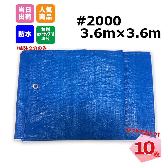 ブルーシート #2000 3.6m×3.6m 10枚 KMネクスト 181210190